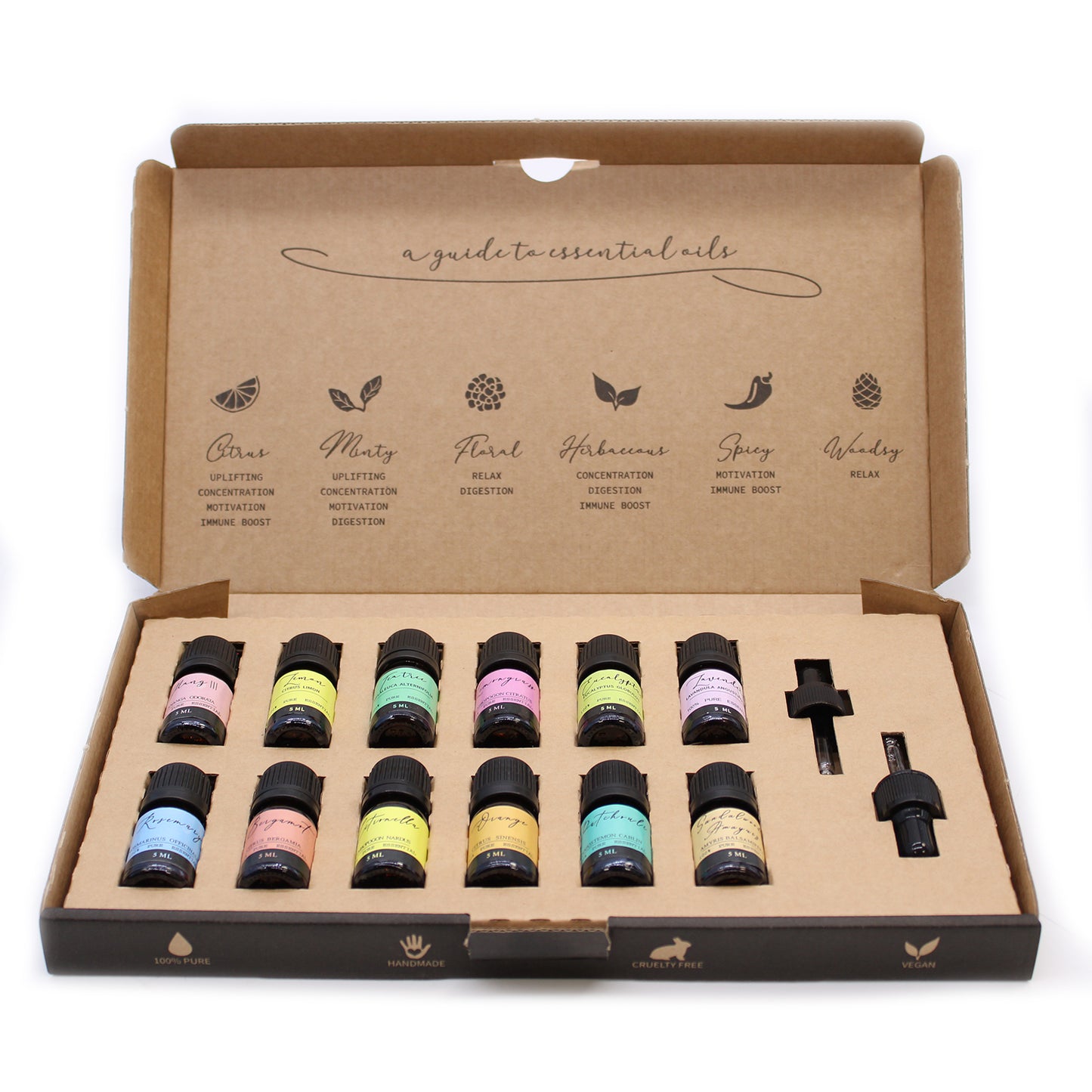 Aromatherapy Essential Oil Set - Starter Pack