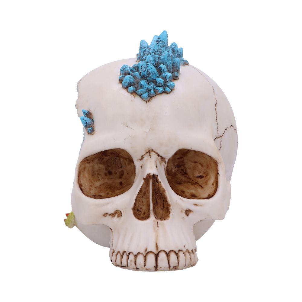 Crystal Cave Blue Skull 16.5cm