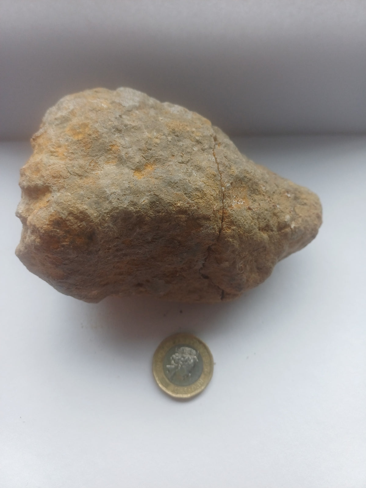Natural rough outer rind of the split quartz geode pair shown beside a UK one pound coin for scale
