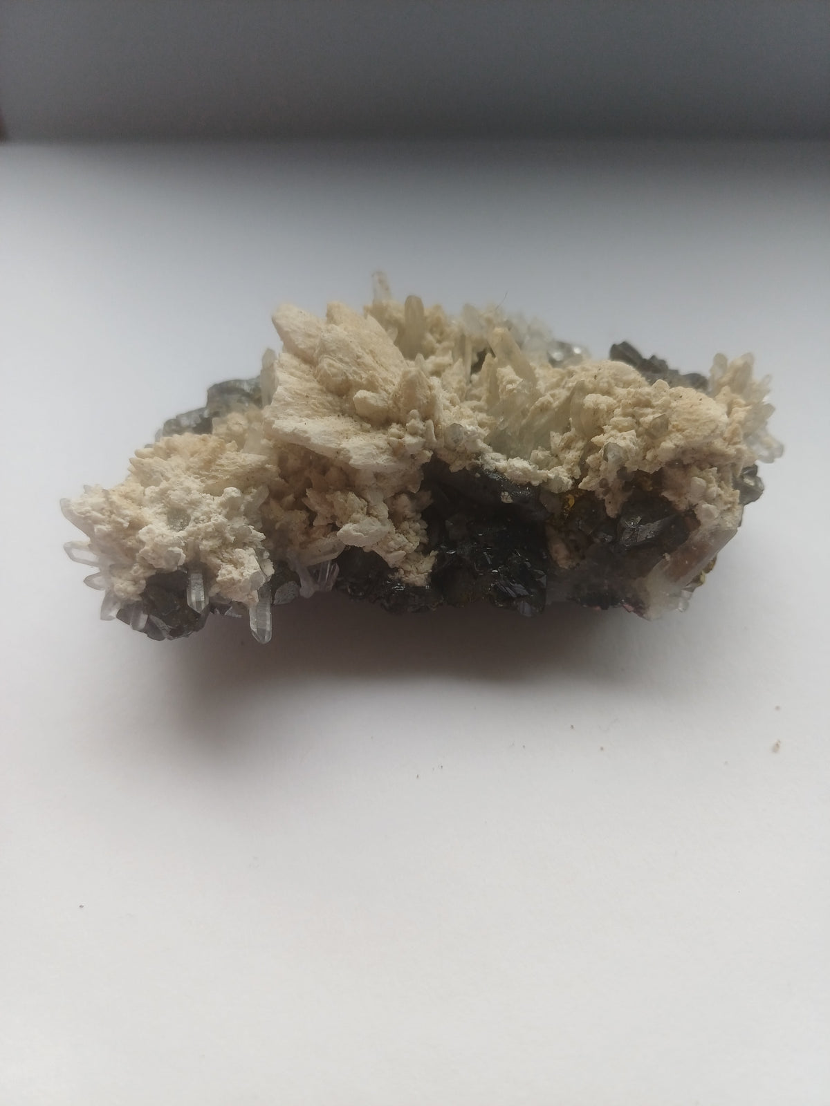 Mixed mineral specimen profile showing pale crystal growth, quartz points and dark metallic matrix